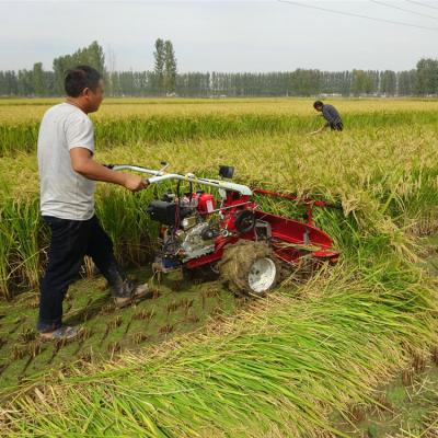 China Best Selling Rice Corn Harvester 2 Rows Harvester Conveyor Rear Hopper With Good Quality for sale