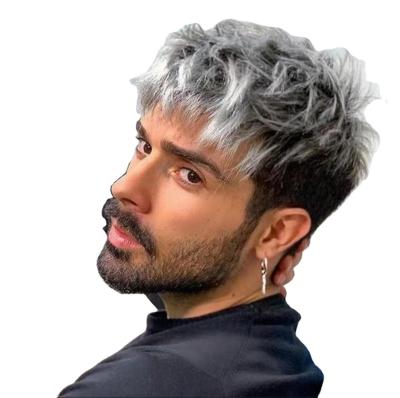 China European high temperature wire men's wigs wholesale and American silver gray fluffy men's hair men's wig Short Hair Wig Sets for sale