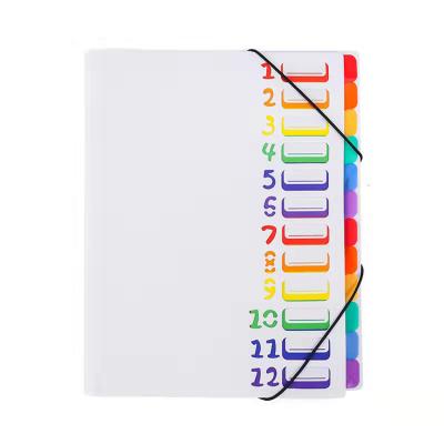 China Customizable Folder PP Folder 12 Page Bag A4 Document Rainbow Plastic Folder Elastic Index Folder with Bungee Cord for sale