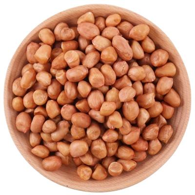 China New Manufactured Chinese Culture Red Skin Dried Raw Peanut Kernels for sale