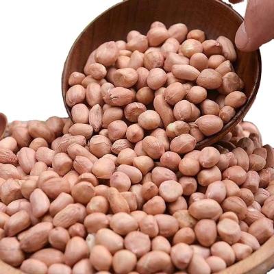 China New Chinese Origin Dried Cultivation Peeled Raw Peanut Kernels With Red Skin In Different Sizes for sale