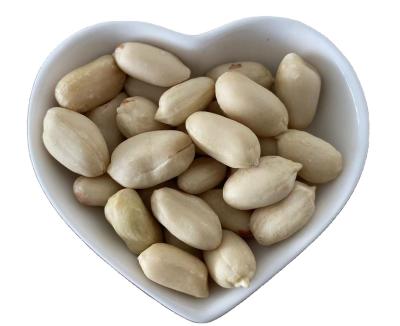 China Chinese origin high quality blanched dry peanut kernels for sale