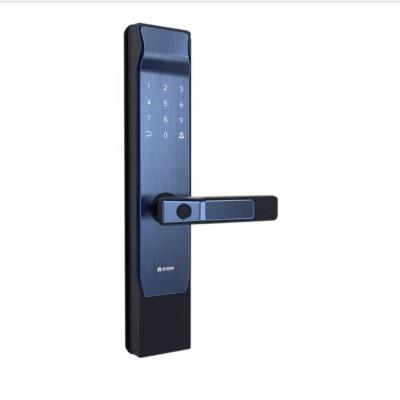 China 99 Basic Track Electronic Fingerprint E91 Fingerprint High Security Guangdong Handle JIXIN Digital Smart Door Lock for sale