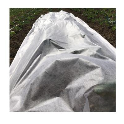 Cina Factory Price 100% Polypropylene 3%-6%UV Weed Control Fabric Waterproof Nonwoven Spunbond Nonwoven Agriculture Fabric in vendita