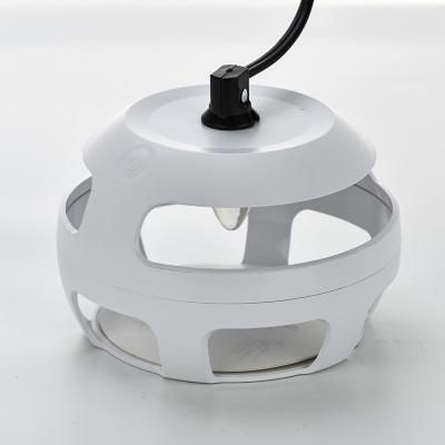 China Sticky Type Mosquito-killing Lamp Warm Light Flea Moth Gnat Catcher Indoor Sticky Pad Trap with ABS Electronic Parts for sale