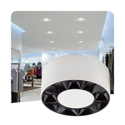 China IP65 Outdoor Commercial Indoor Dimmable Recessed Ceiling Down Light Cylinder Spotlight Outdoor Mounted Trimless Led Downlight for sale