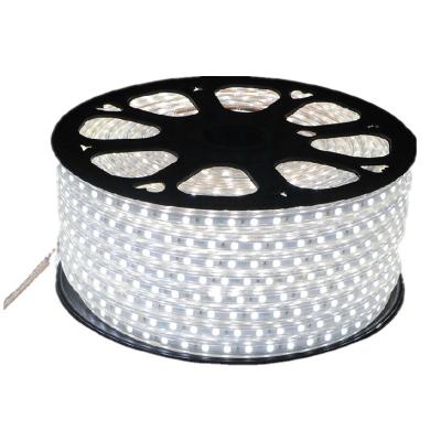 China LANDSCAPE 120v LED Strip RGB 50M/Roll 5050 Decorative Christmas Park Lighting IP65 Led Ribbon Lights for sale