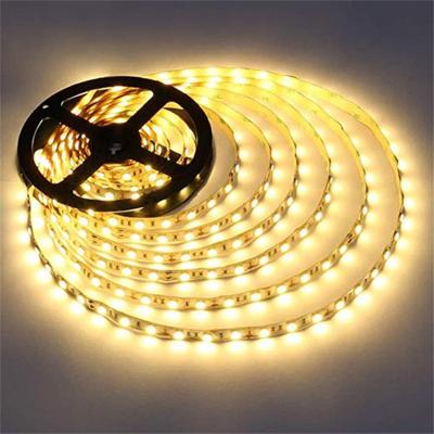 China Hotsale LANDSCAPE decorative dc12v 24v 5 meter roll warmwhite lsmd 2835 led light strip rgb for sale