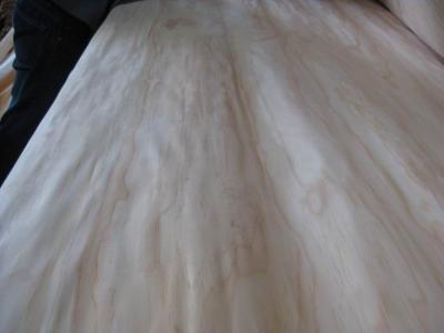 China Rotary Cut/Peeled New Zealand Pine Wood Veneer Sheet for sale