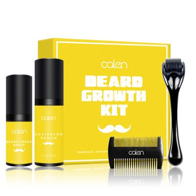 China Wholesale High Quality Fashionable Appearance Factory Private Label Men's Beard Growth Kit With Derma Roller for sale