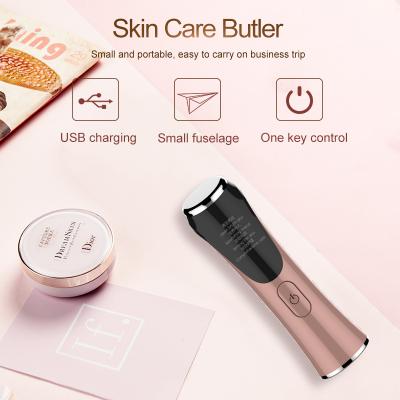 China Hot Selling Skin Care Products Ion Beauty Device Skincare Products Dark Circles Options For Women for sale