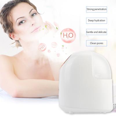 China Beauty Facial Electric Nano Thermal Ion Deep Cleansing Detergent Device Steaming Facial Steamer Steaming Facial Steamer for sale