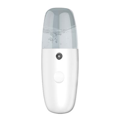 China Mini Nano Facial Moisturizer Mist Spray Water Replenishment Instrument To Hydrate Skin Facial Steamer Nano Mist Sprayer for sale