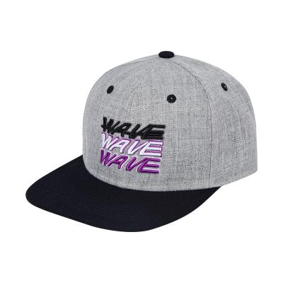 Chine Popular Unisex Hat Basketball Hats Snapback Cap 3d Embroidery Wool Acrylic Snapback Hat à vendre