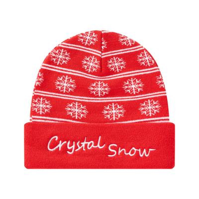 China Ecofrienly Cotton Christmas Beanie Hats Men Custom Embroidery Logo Beanie Hats For Women for sale