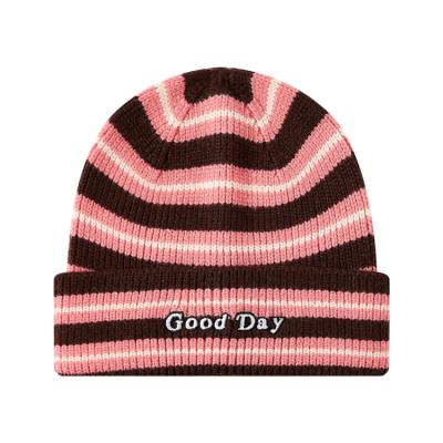 China Premium Quality Beanie Hat Manufacturers Women Beanie Striped Men Beanie for sale