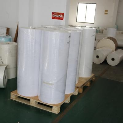 China 100% Pure Wood Pulp Elephant Thermal Paper Roll Types Thermal Paper Thermal Paper Jumbo Reels for sale