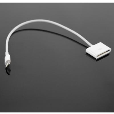 China iPhone 30 pin to 8 pin Adapter Cable for iPhone Micro USB Adapter for sale