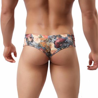 China Antibacterial Chinese OEM factory sells men's sexy underwear, sexy printed underwear can be customized for sale