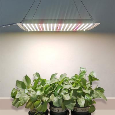 China Dimming control hot sale China factory high quality and efficiency growing light plant IR UV grow led light for sale