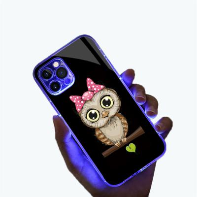 China Fashion Cute Cartoon Shockproof Design Glitter Luminous Glass Phone Case For Iphone 13 pro promax 12 11 for sale