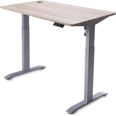 China (Height) Adjustable OEM Customized Electric Height Adjustable Stand Desk Wood Style Auto Lift Desk for sale