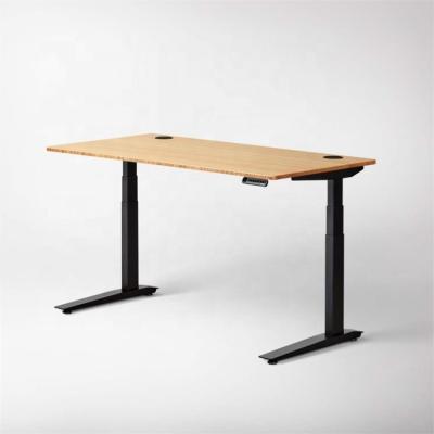 China (Size) OEM Customized Adjustable Height Adjustment Mechanism For Tables Desk Electric Lift Standing Desk for sale