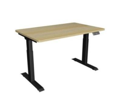 China Single (Height) Height Adjustable Electric Adjustable Desk Table Design Standing Desk for sale