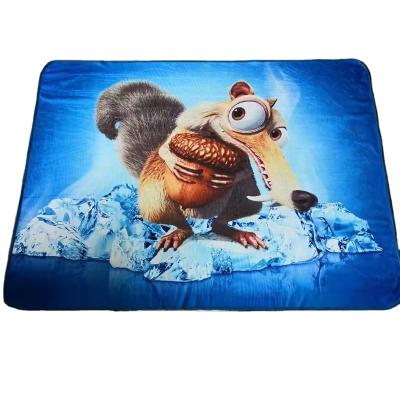 China Wearable Custom High Quality Cardboard Printed Plush Fleece Throw Blankets for sale