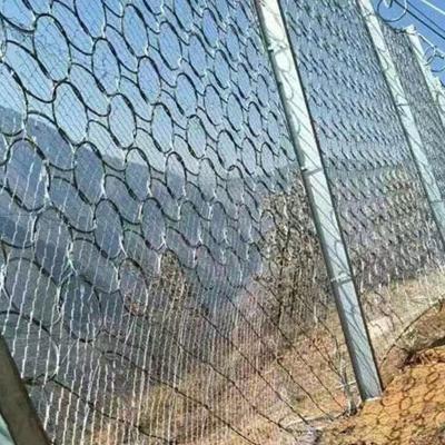 China Twill Weave Rockfall Fence Wire Mesh Rockfall Protection Ring Net Slant Protection Ring Net for sale