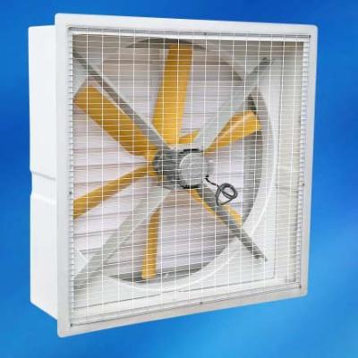 China wall mount handmade shell FRP exhaust fan for sale