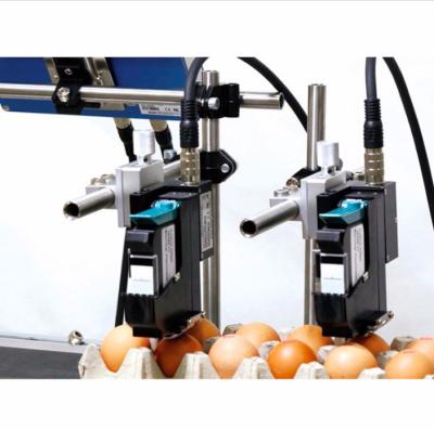 China Factory Automatic Egg Stamping Machine Egg Printing Machine (DF-800) for sale