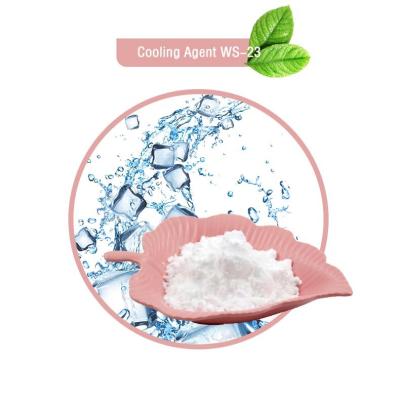 China Cooling Agent Powder WS-5 Koolada 68489-14-5 For Food And Cosmetic Use for sale