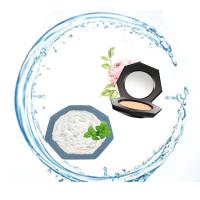 China Cas 51115-67-4 Ws23 Cooling Agent Synthetic Flavou For Concealer Cosmetics for sale