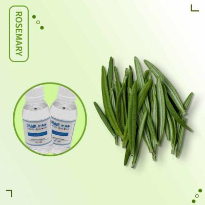 Chine Liquide CAS 220-334-2 de Herb Rosemary Mint Flavors For E de concentré à vendre