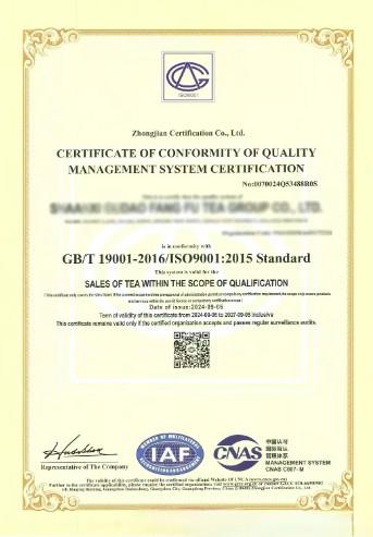 ISO - Shaanxi Gudaofang Futea Group Co., Ltd.