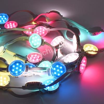 China LANDSCAPE Dropshipping PC led string light 50mm RGB ws2811 cahangeable ucs1903 gs8206 pixel waterproof IP68 for amusement park for sale