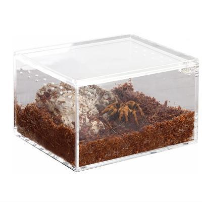 China Factory Breathable Magnetic Reptile BSCI Plexiglass Lizard Tarantula Feeding Turtle Clear Pet Breeding Climbing Box Acrylic Reptile Cages for sale