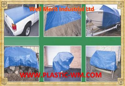 China Well Merit Tarpaulin Well Merit Tarp Shandong Tarpaulin Hot Sale Cheap Tarpaulin for sale