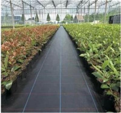 China Black Color Ground Cover Landscape Fabric  PP Weed Control Mat for sale