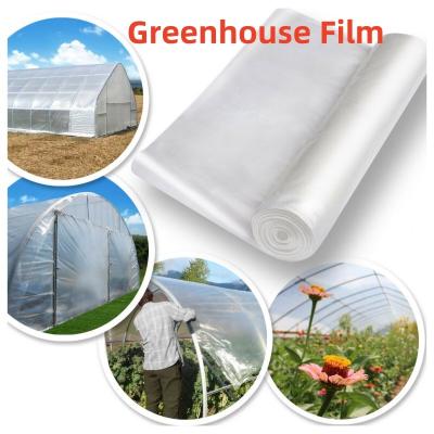 Chine 1M-16M Width PE/PO/EVA Plastic Agricultural Greenhouse Film Cover à vendre