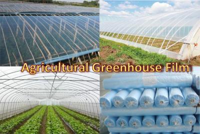 Chine 6Mil (150Micron）Greenhouse Plastic Sheeting  PE Film Replacement Covering à vendre