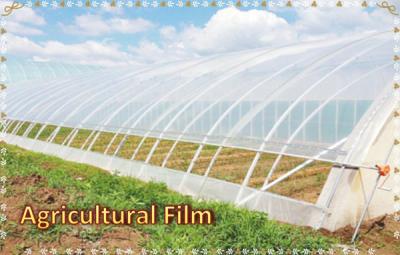 China Agricultural Film  Greenhouse Film  Agricultural greenhouse Plastic Film for sale