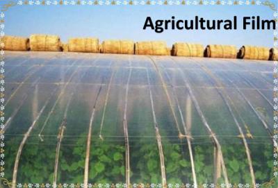 China Greenhouse Film  Agricultural greenhouse Plastic Film Agricultural Film for sale