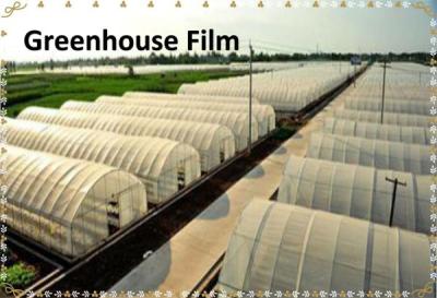 China Greenhouse Film  Agricultural greenhouse Plastic Film Agricultural Film for sale