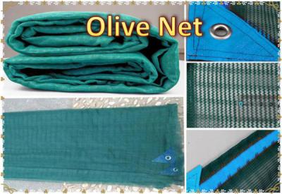 China 100% New HDPE UV 70g/m2-100g/m2  Agricultural Harvest Net Olive Net for sale