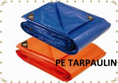 Chine bâche de plastique de bâche de PE de bâche de HDPE de taille assortie par 100%Waterproof à vendre