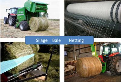 China Hay Warp Netting Silage Bale Wrap  Netting Bundle of Grass Netting for sale