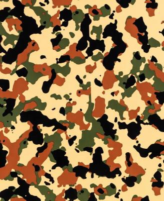 China Clothing camouflage pattern heat transfer film 12 inch PU printing camouflage transfer film for sale