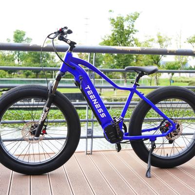 China Adult electric electric bike 750W snow motor suspension front fork 13ah aluminum battery 26inch alloy 26inch fat tire hydraulic brake for sale